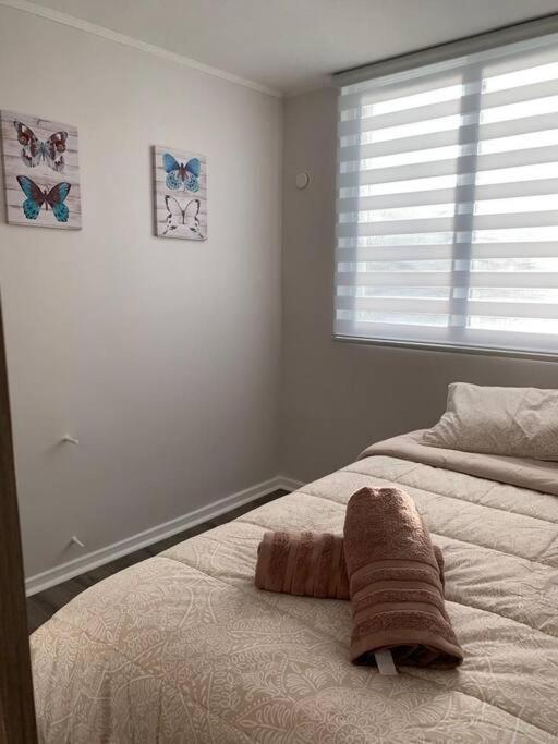 Departamento Centrico En Puerto Varas Εξωτερικό φωτογραφία